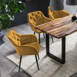 Armlehnstühle*Pharao24 Armlehnen Esszimmerstuhl Xivadro