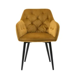 Armlehnstühle*Pharao24 Armlehnen Esszimmerstuhl Xivadro