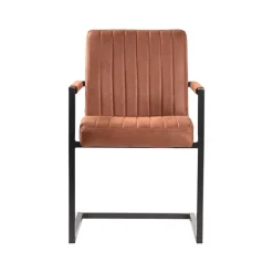 Küchenstühle|Esszimmerstühle*Pharao24 Armlehnen Freischwinger Eliane