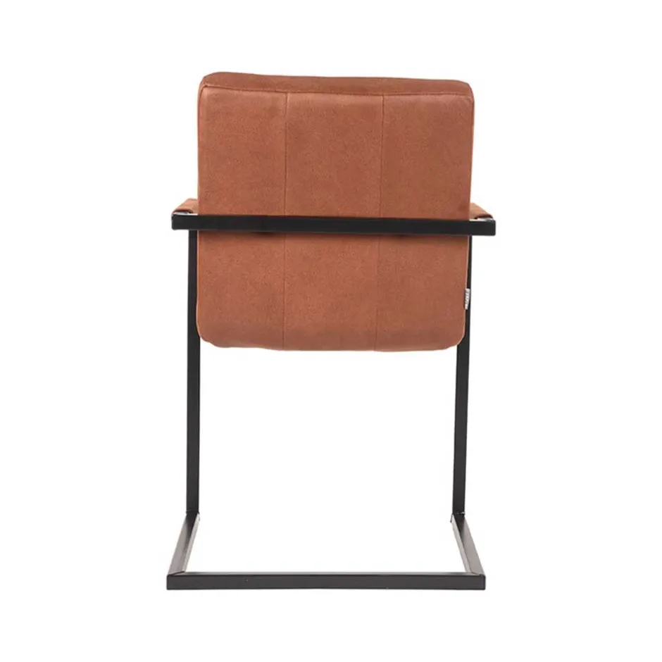 Küchenstühle|Esszimmerstühle*Pharao24 Armlehnen Freischwinger Eliane