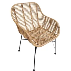 Armlehnstühle*Pharao24 Armlehnenstuhl Zandravo