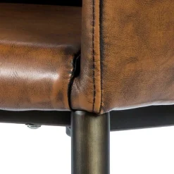 Armlehnstühle|Esszimmersessel*Pharao24 Armlehnenstuhl Zelio