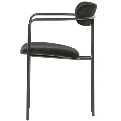 Polsterstühle|Armlehnstühle*Pharao24 Armlehner Botein