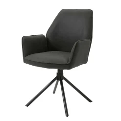 Armlehnstühle*Pharao24 Armlehner Tormessa