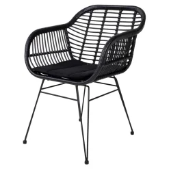 Küchenstühle|Esszimmerstühle*Pharao24 Armstühle Omnus