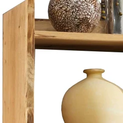 Wohnzimmerregale|Massivholzregale*Pharao24 Baumkanten Regal Foresta