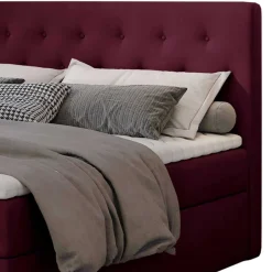 Pharao24 Boxbett Mouse><noscript><img width=