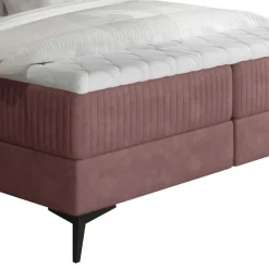 Pharao24 Boxbett Roper><noscript><img width=