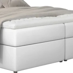 Pharao24 Boxbetten Ashger><noscript><img width=