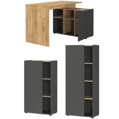Büromöbel Sets*Pharao24 Büromöbel Set Liadoras