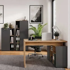 Büromöbel Sets*Pharao24 Büromöbel Set Liadoras
