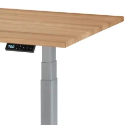 Schreibtische*Pharao24 Büroschreibtisch Samluca