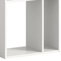 Bücherregale*Pharao24 Buchregal Roscha