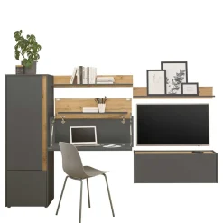 Pharao24 Design Wohnwand mit Schreibtisch Uzniana> Moderne Wohnwände|Wohnwand 250 Cm