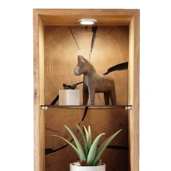 Hängeregale|Wohnzimmerregale*Pharao24 Echtholz Regal Camilla