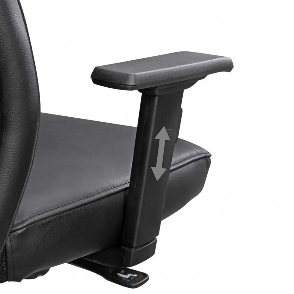 Pharao24 Ergonomischer Bürostuhl Melica> Bürostuhl