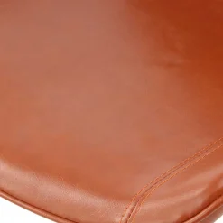 Lederstühle*Pharao24 Essstuhl Aucira