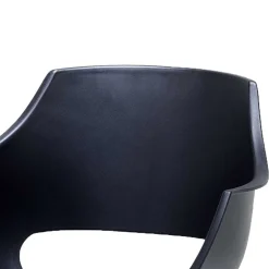 Armlehnstühle*Pharao24 Esszimmerarmlehnstühle Ominikana