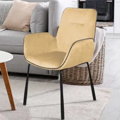 Küchenstühle|Esszimmerstühle*Pharao24 Esszimmerarmlehnstuhl Edeline