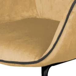 Küchenstühle|Esszimmerstühle*Pharao24 Esszimmerarmlehnstuhl Edeline