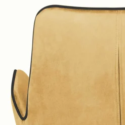 Küchenstühle|Esszimmerstühle*Pharao24 Esszimmerarmlehnstuhl Edeline