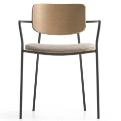 Armlehnstühle*Pharao24 Esszimmerarmlehnstuhl Set Tessa