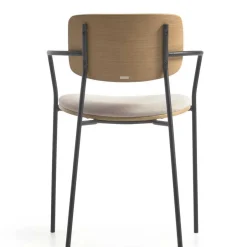 Armlehnstühle*Pharao24 Esszimmerarmlehnstuhl Set Tessa