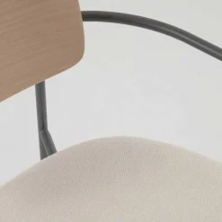 Armlehnstühle*Pharao24 Esszimmerarmlehnstuhl Set Tessa