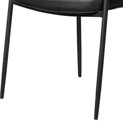 Lederstühle|Esszimmersessel*Pharao24 Esszimmerstuhl Ariada