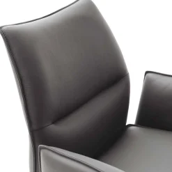 Lederstühle|Esszimmersessel*Pharao24 Esszimmerstuhl Dorcamido
