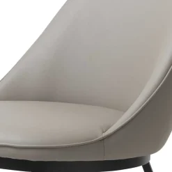 Lederstühle*Pharao24 Esszimmerstuhl Jarah