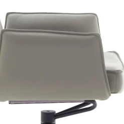 Lederstühle|Esszimmersessel*Pharao24 Esszimmerstuhl Tanina