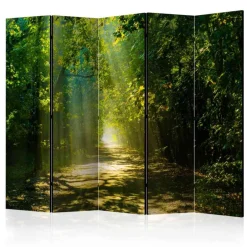 Pharao24 Falt Paravent Ciery> Raumteiler|Paravents