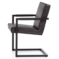 Polstermöbel|Küchenstühle*Pharao24 Freischwinger Lannla