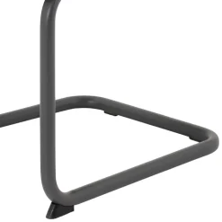 Küchenstühle|Esszimmerstühle*Pharao24 Freischwinger Renata