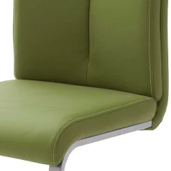 Lederstühle|Freischwinger*Pharao24 Freischwingerstuhl Set Ereventas