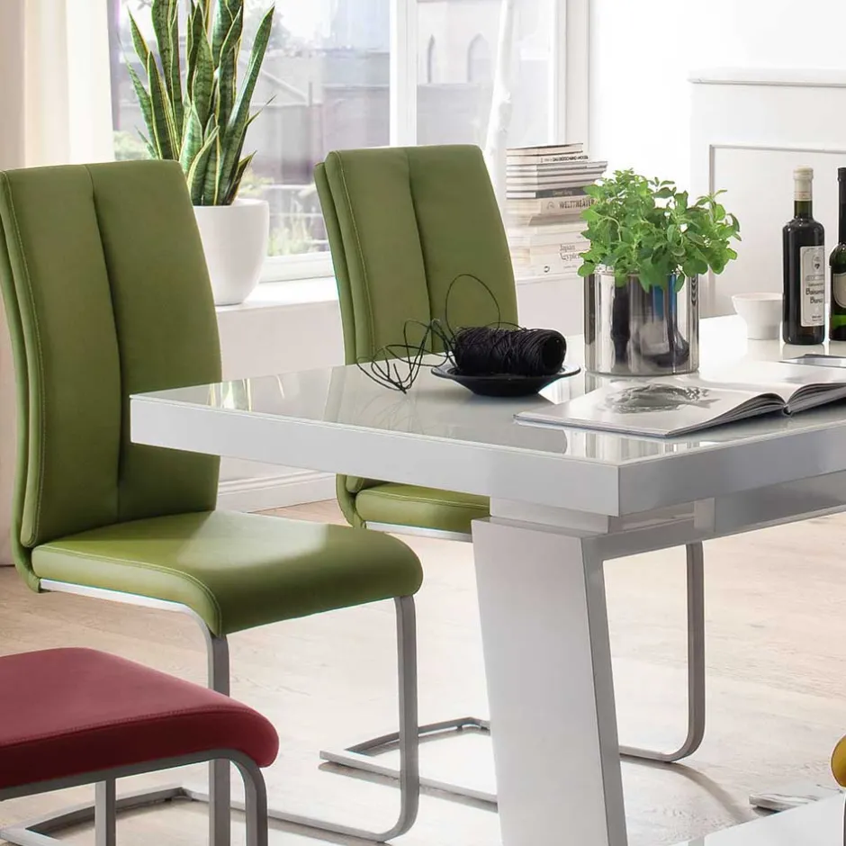 Lederstühle|Freischwinger*Pharao24 Freischwingerstuhl Set Ereventas