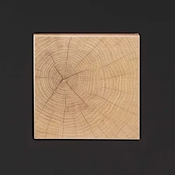 Pharao24 Garderobenschuhschrank Griffin><noscript><img width=