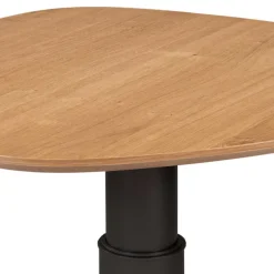 Wohnzimmertisch|Beistelltische*Pharao24 Höhenverstellbarer Couchtisch Canopuss