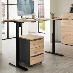 Schreibtische*Pharao24 Höhenverstellbarer Schreibtisch Esdravos