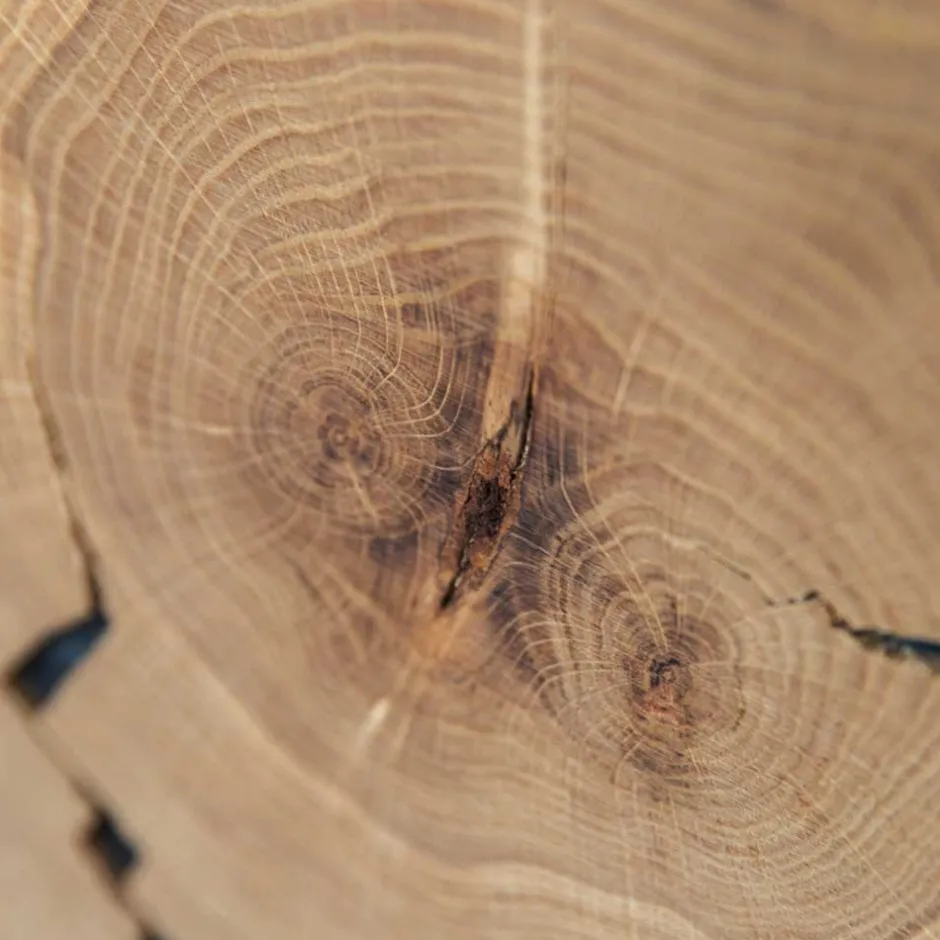 Wohnzimmerkommoden|Wohnzimmerschrank*Pharao24 Highboard Lakosion