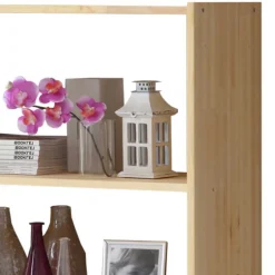 Wohnzimmerregale|Massivholzregale*Pharao24 Holzregal Stem