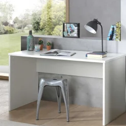 Pharao24 Jugendzimmer Schreibtisch Handican> Schreibtische