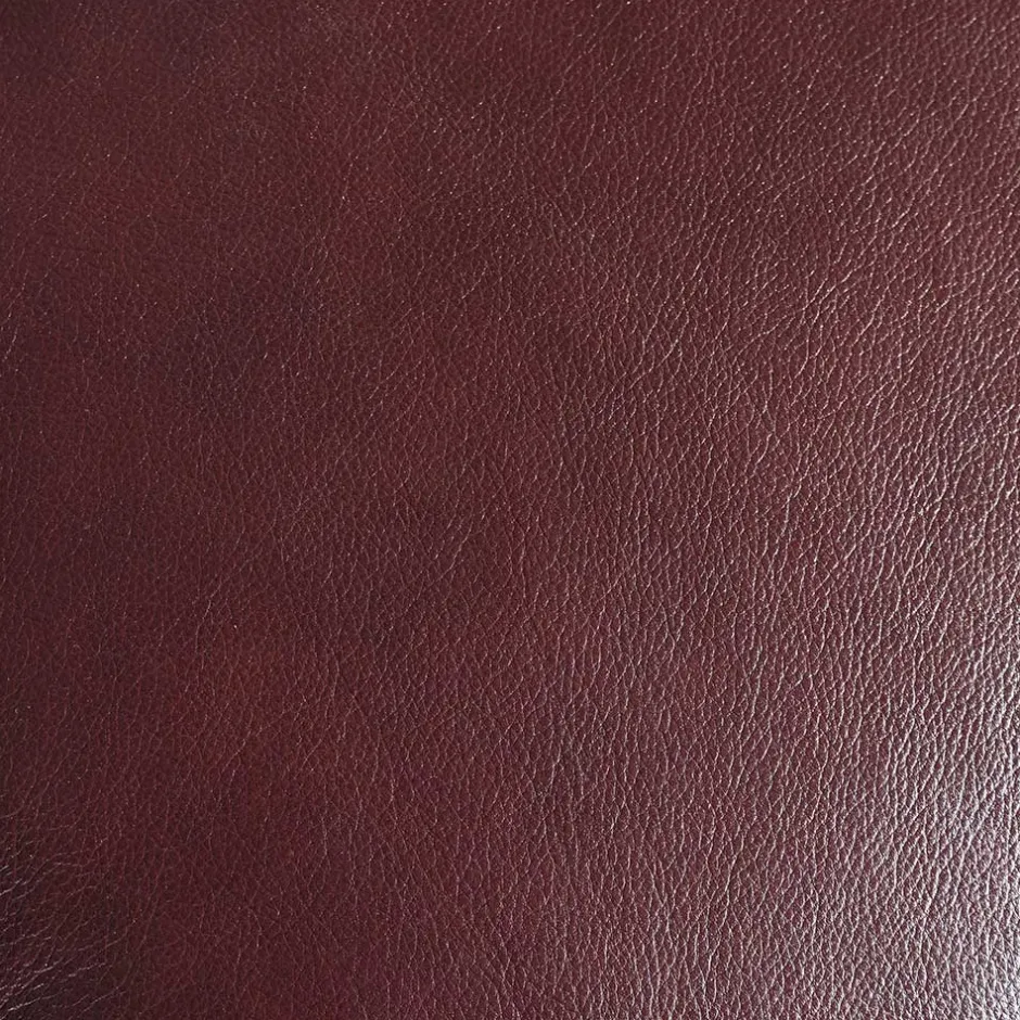 Pharao24 Ledersessel Zaisan> Wohnzimmer Sessel