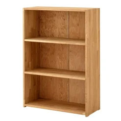 Pharao24 Massivholz Aktenregal Legancas> Massivholzregale|Standregale