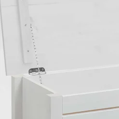 Truhen*Pharao24 Massivholztruhe Vilatata