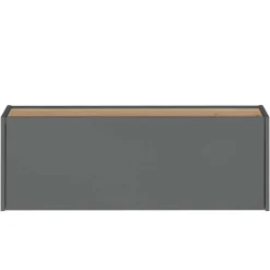 Büroschränke|Aktenschränke*Pharao24 Moderner Hängeschrank Uzniana