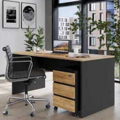 Schreibtische*Pharao24 Moderner Schreibtisch Charin