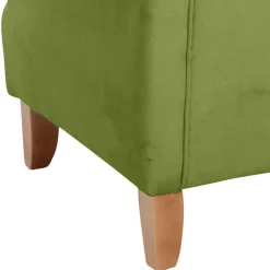 Ohrensessel*Pharao24 Ohrensessel Solanda