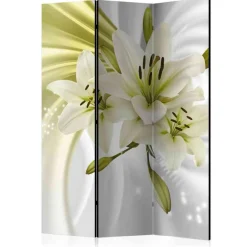 Paravents*Pharao24 Paravent Adalberto